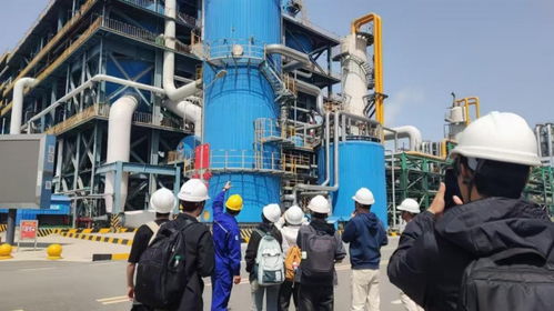 校企携手，共探废碱资源化新路径——河南大学师生走进工厂深化技术交流